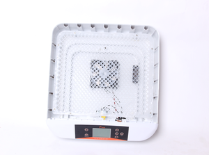 HHD doppio ABS materiale 42A sistema di incubatore di controllo automatico del Computer