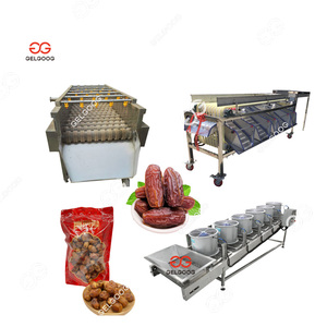 Gelgoog datario automatico per il lavaggio delle sementi di smistamento Mazafati Dates smistatrice
