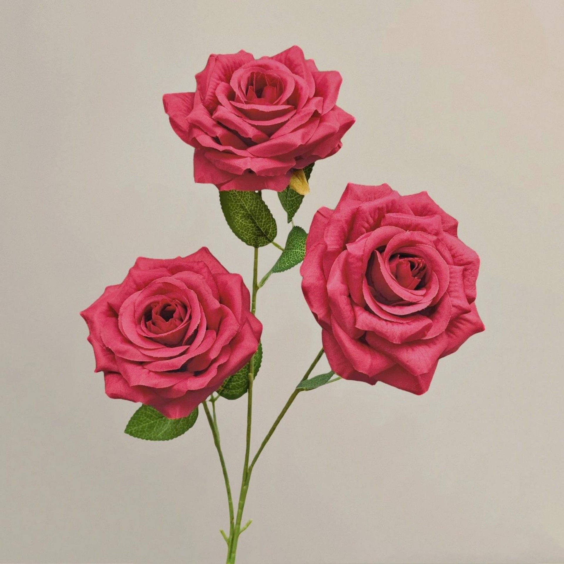 Nouveau diamant rose-rouge-66 cm