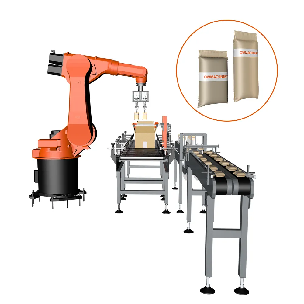 Robotic Case Packer Packing Bags In Boxes