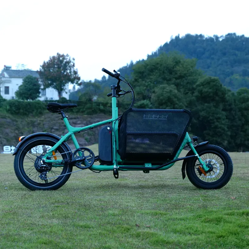 電動自転車2輪カーゴバイク350w中国製