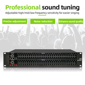 Rayhayes 231อุปกรณ์เสียงระดับมืออาชีพคุณภาพสูง31แบนด์พร้อมไมโครโฟนบันทึกเสียง - Product Image 2