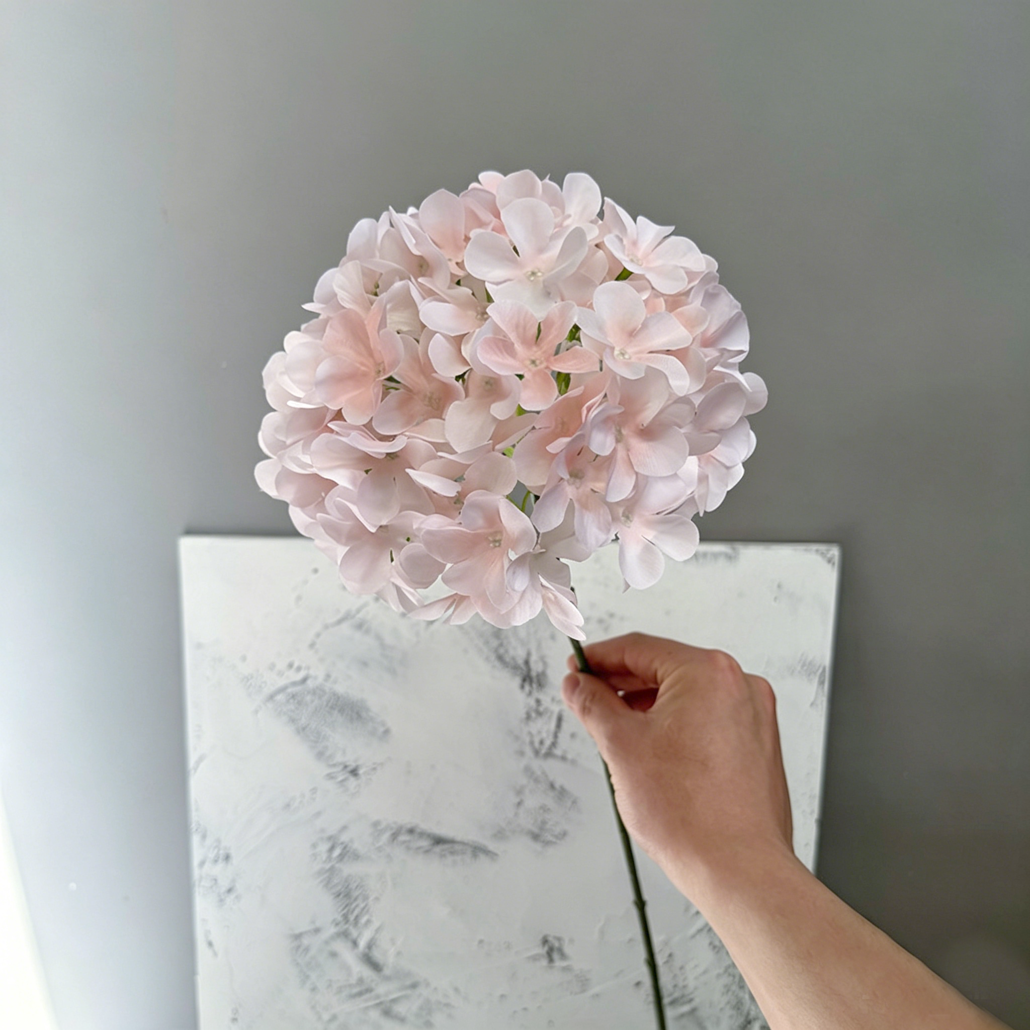 bébé rose