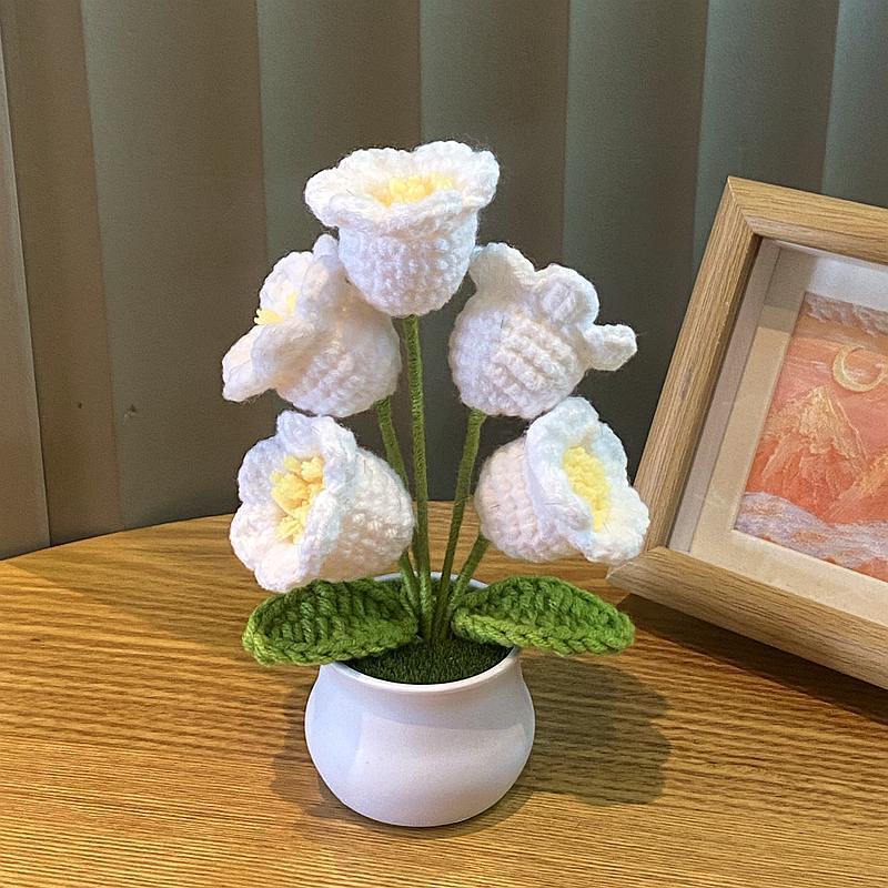 5 white lily of the valley potted plants