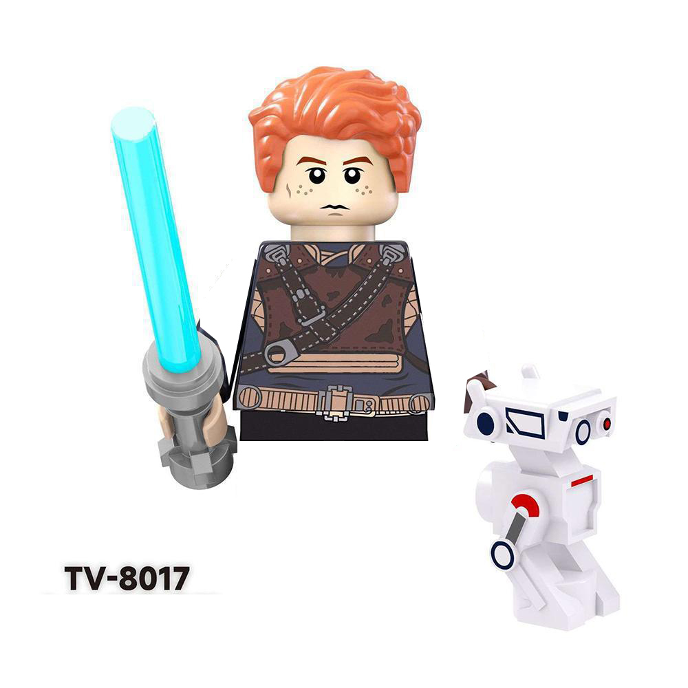 TV8017