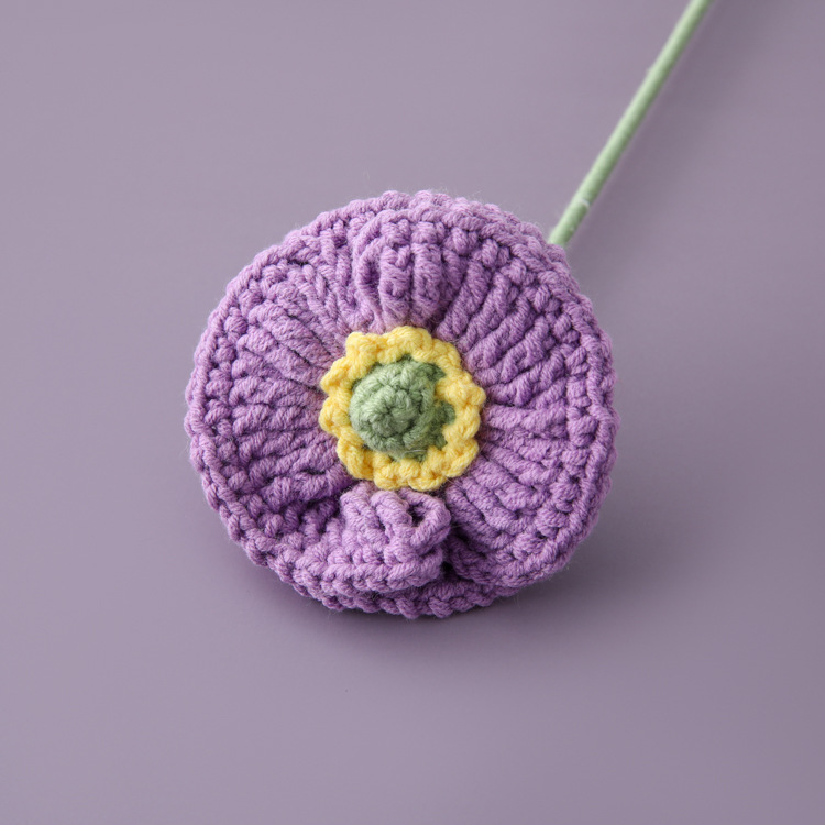 Viola