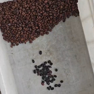Chicchi di caffè tostati colore smistatore Arabica verde chicchi di caffè smistatore macchina chicco di caffè colore sorter