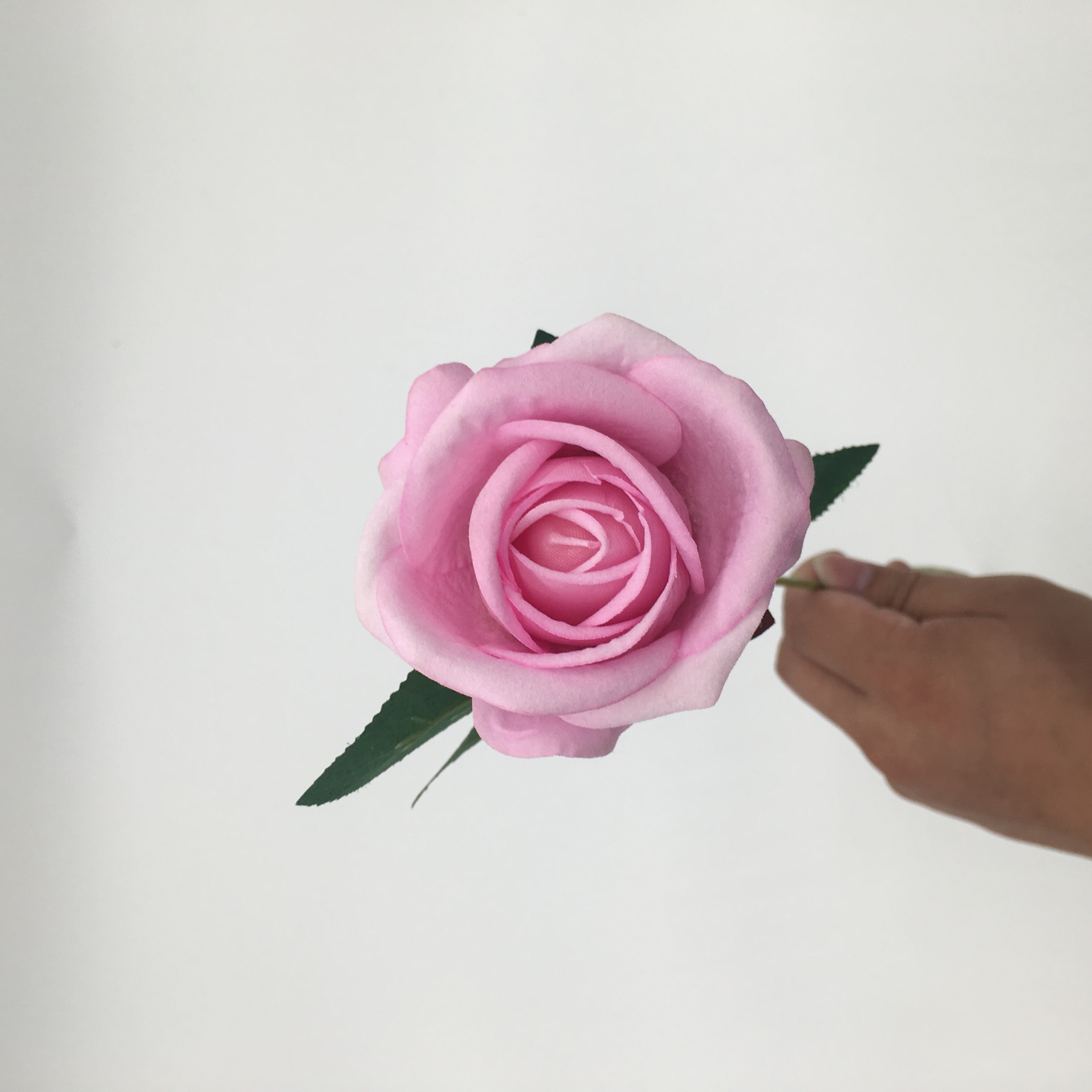 Pink 4