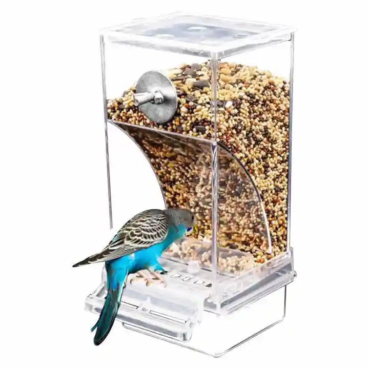 Özel yapılmış yüksek kapasiteli akrilik şeffaf kuş gözlemciliği kuş besleyici papağan besleyici dışında amazon kuş besleyiciler için