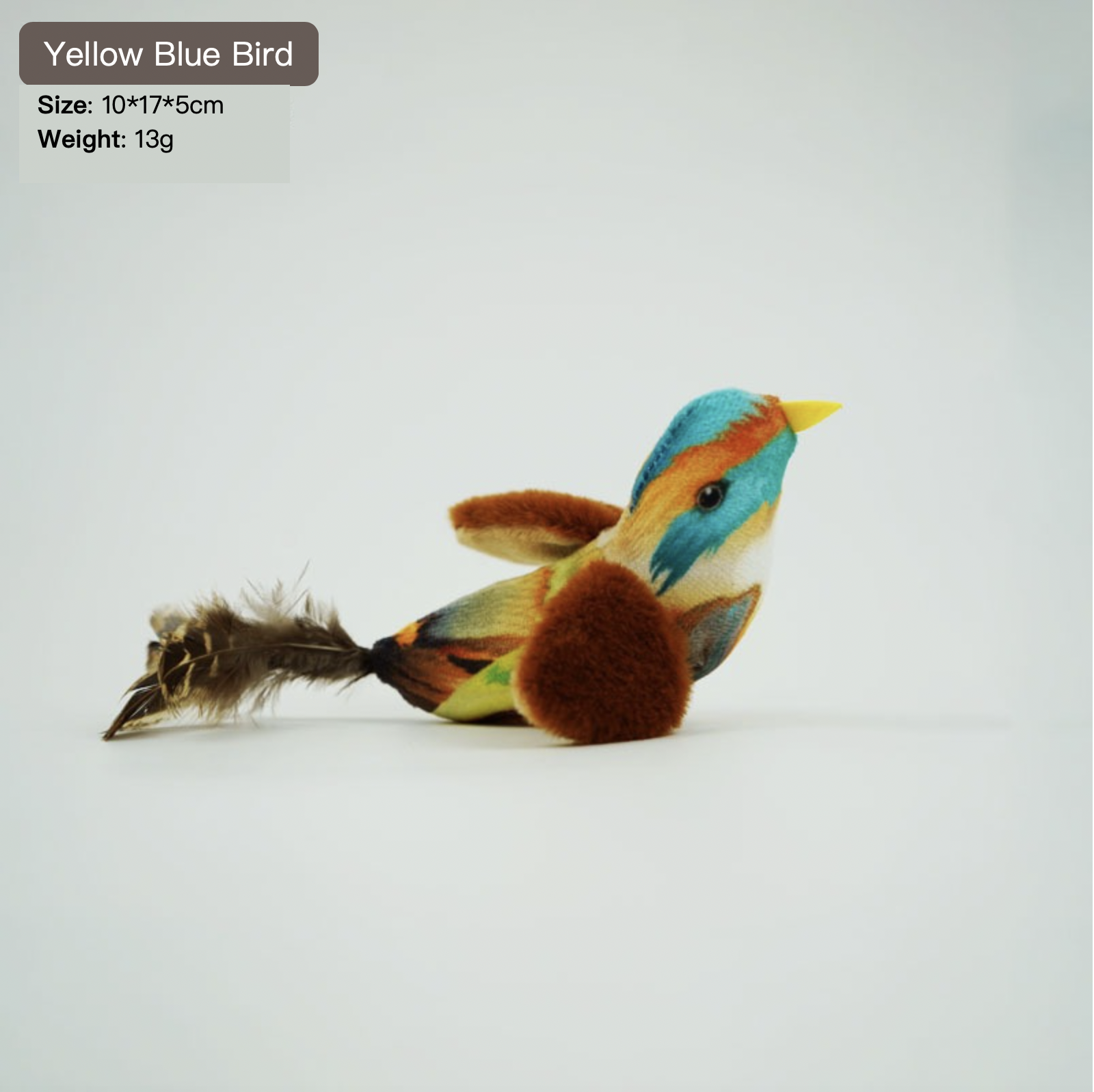 Oiseau grinçant jaune bleu