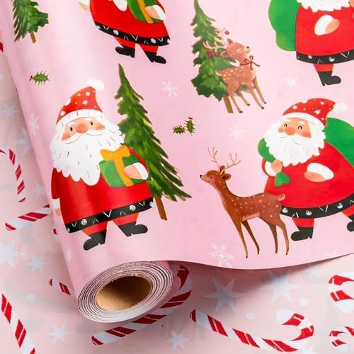 Pink Santa Claus