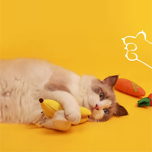 AFP Juguete de Hierba Gatera Resistente a Mordeduras para Gatos, Juguete Duradero para Masticar, Limpieza de Dientes y Jugar - Product Image 2