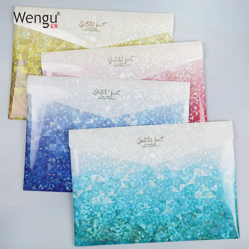 Wengu vendita calda popolare di alta qualità 100% a prova di acqua prova di olio portatile a buon mercato custiomized di disegno di stampa di marca sacchetto del documento