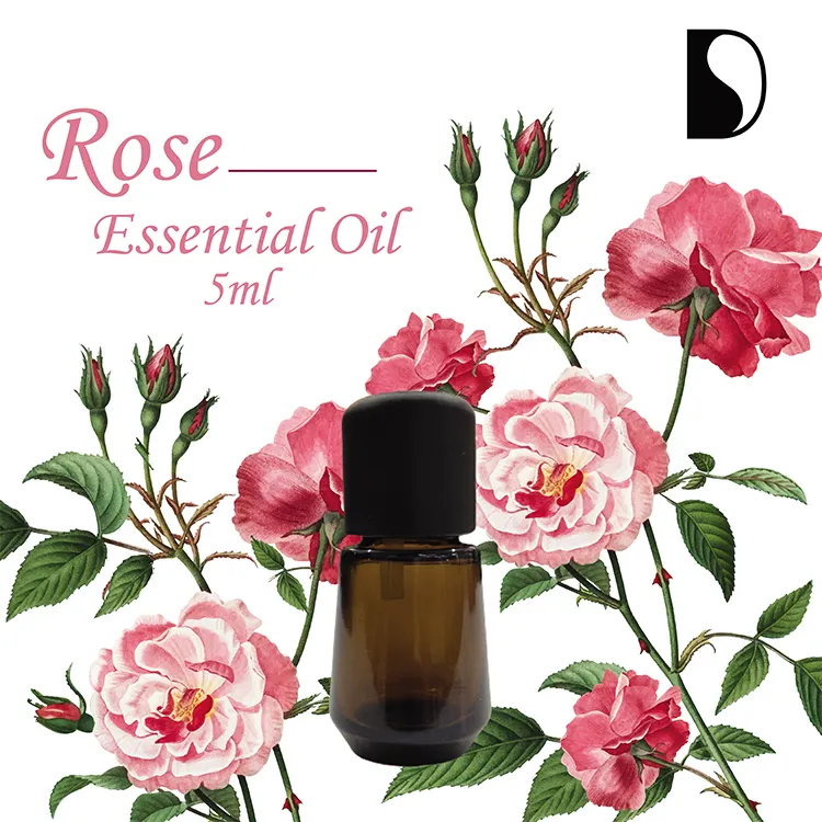 Aceites esenciales naturales de 5ml, aceite esencial de rosas, fabricante directo