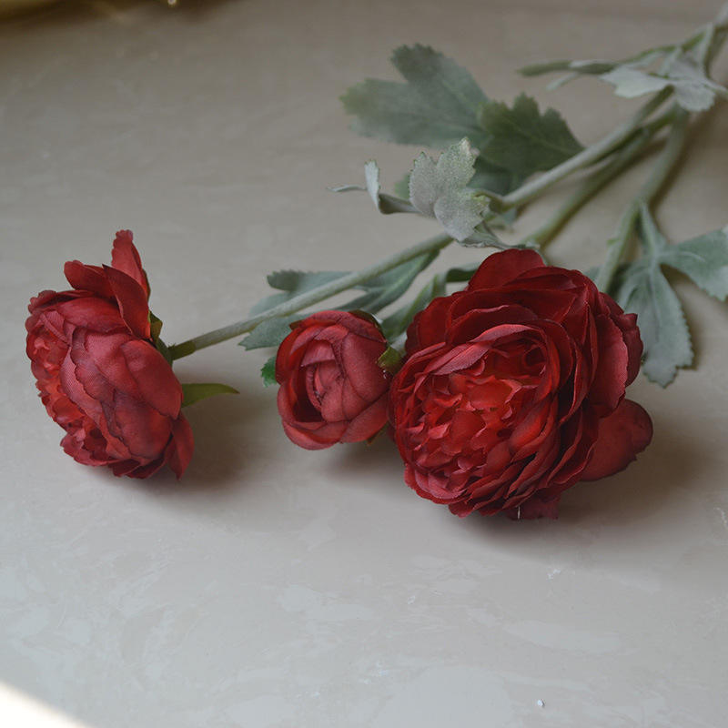 มณฑลเบอร์กันดี