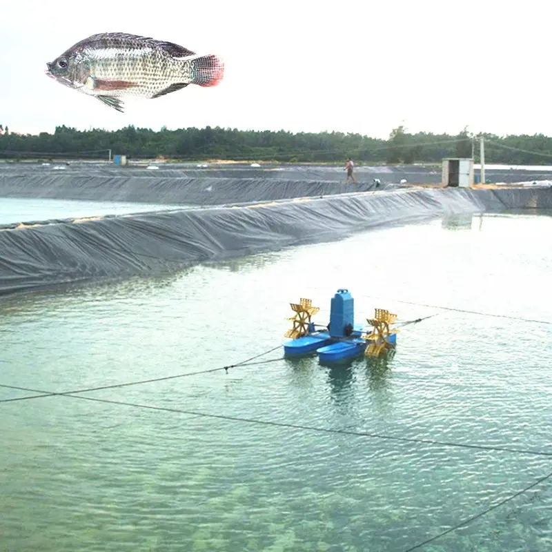 0,75mm HDPE forro/revestimiento de estanque para cultivo de camarón de pescado