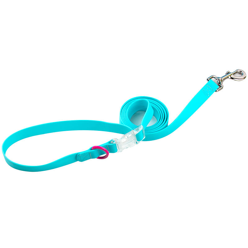 Blue leash