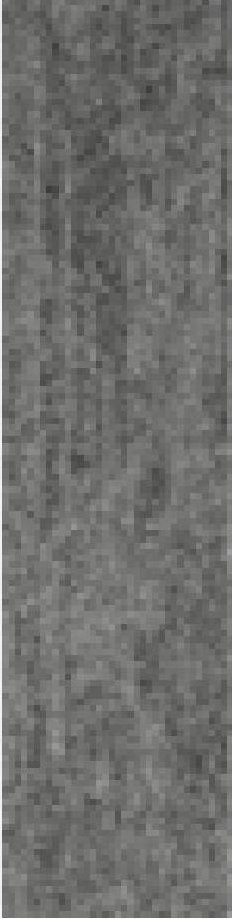 gris 300
