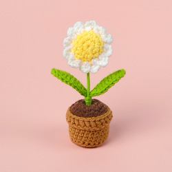 White-daisy potted plant-mini wool pot