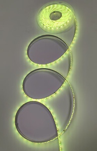 ไฟเส้น LED สำหรับตกแต่งไฟเชิงพาณิชย์รีโมทคอนโทรลกันน้ำ5ม. 6ม. 60LEDs/M - Product Image 4