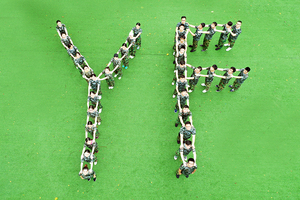 Thương Hiệu Mới Máy Tính Xách Tay Lắp Ráp 5cb0p18543 C-Bìa Với Bàn Phím Cho N24 Máy Tính Xách Tay Bìa Trường Hợp Trên Asm 3N 81af W/KB Chúng Tôi Bk - Product Image 6