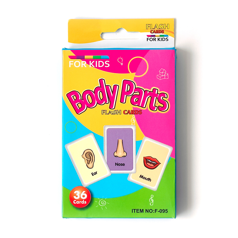 Partes del cuerpo tarjetas flash