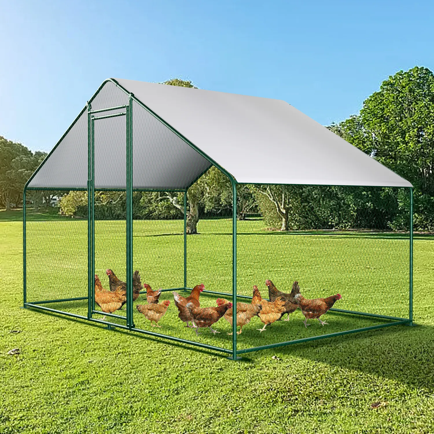 Moderna passeggiata nel pollaio e gabbia grande giardino Galvan Chicken Run per 2000 pollo