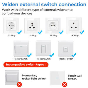 Tuya L N 16A2ウェイタイミングジグビーコントローラーDIYAPPミニスマートジグビースイッチforAlexa Google Home - Product Image 4