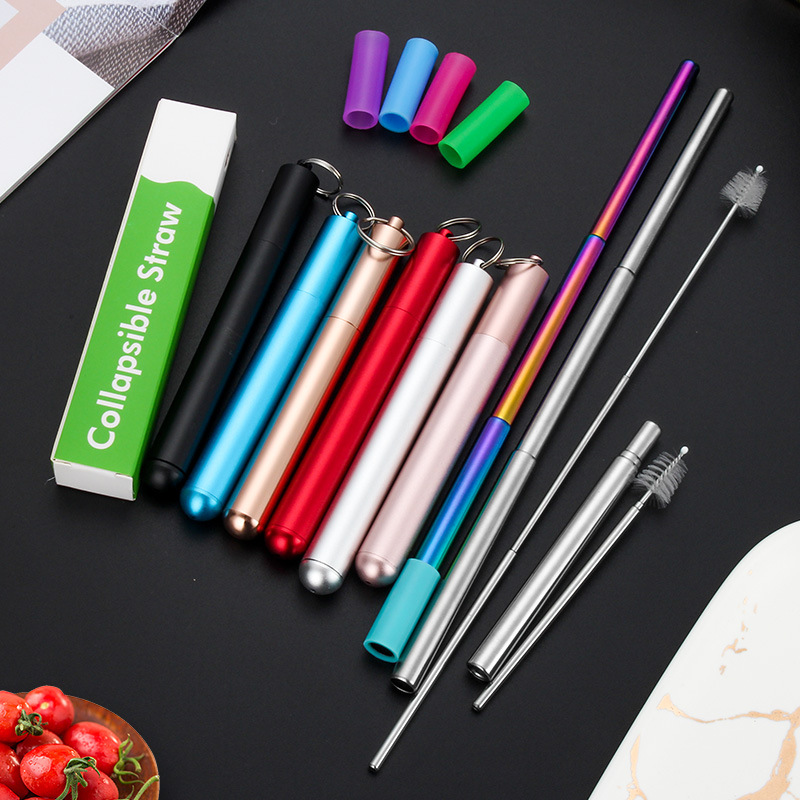 straw set with case and carabiner(silver straw+red case)