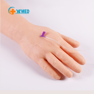 <strong>Medica</strong> Science Teaching Models Venipuncture and Blood Drawing Teaching Model for Learning and Teaching - Product Image 1