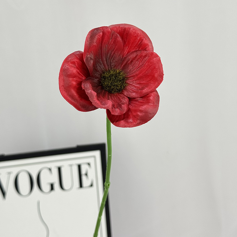 Terne-rouge