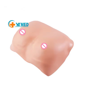 Breast Examination Model Female Breast Disease Examination <strong>Palpation</strong> Medical Teaching Model - Product Image 1
