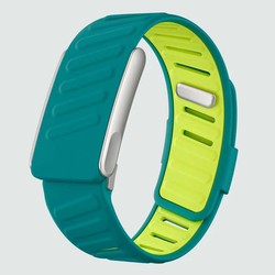 Citron vert