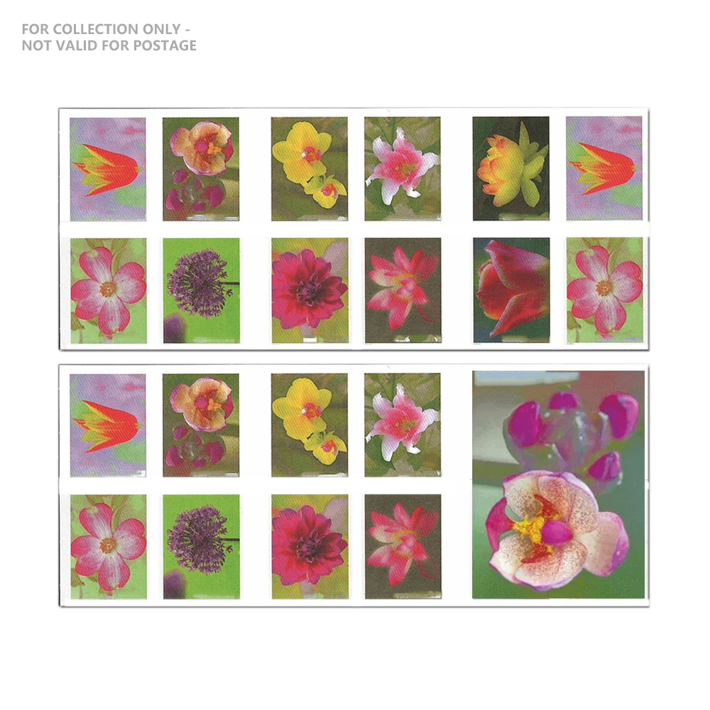 Blanc Y9 2021 Beauté du jardin