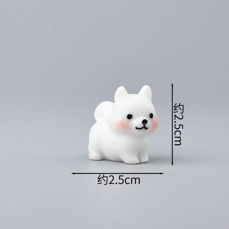 Couleur unie Samoyède blanc