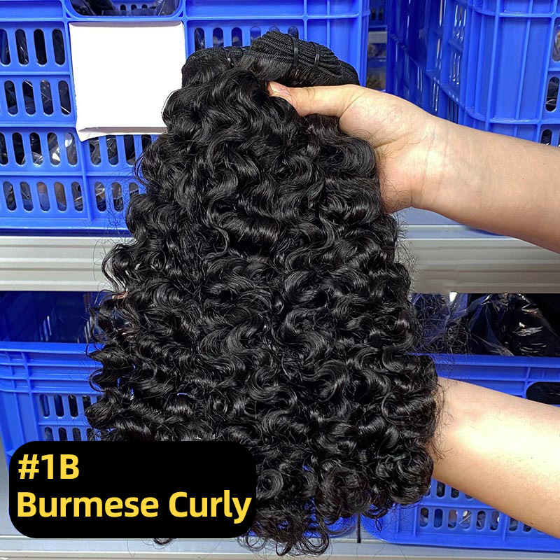 #1b burmese curly