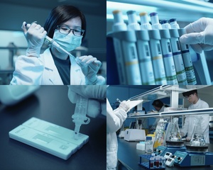 sabervet犬心丝虫抗原/埃希氏体/莱姆病/无血浆抗体组合快速检测组合盒