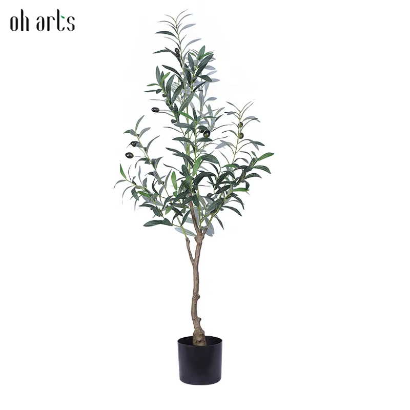 OH025064Vert