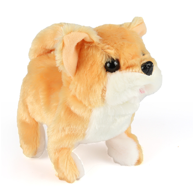 Shiba Inu