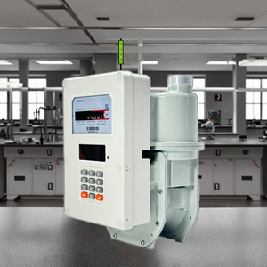 G1.6/g2.5 STS lora-rf trả trước Thông Minh Kỹ thuật số <span class=keywords><strong>gas</strong></span> <span class=keywords><strong>Meter</strong></span> độ chính xác cao không dây điều khiển từ xa cho mức độ dụng cụ đo lường - Product Image 4