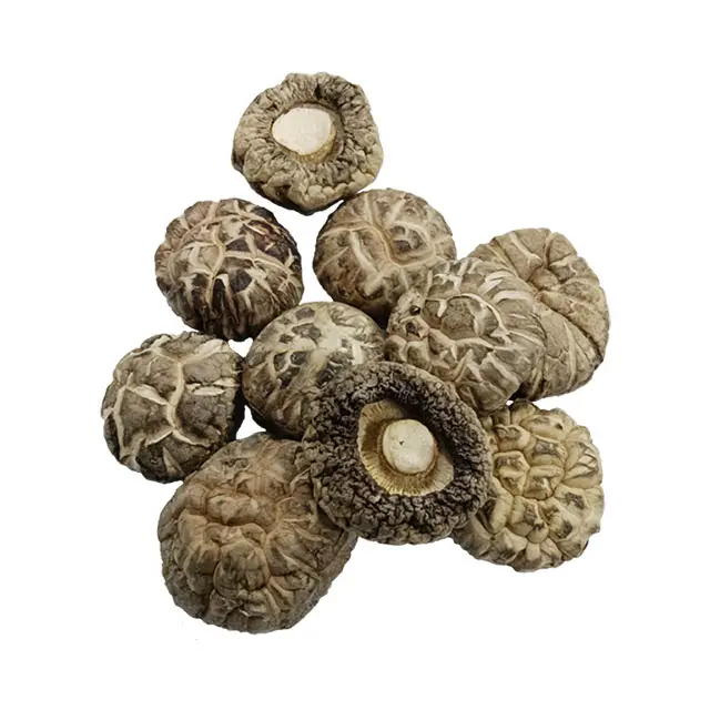 Großhandel getrocknete shiitake pilz hohe qualität organisch getrocknete blume shiitake-pilz ganze pilz (4-5cm)