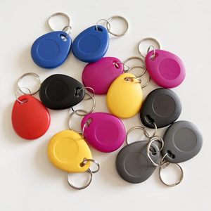 Fudan 13.56Mhz RFID NFC Keyfob kustom Logo pabrik ABS plastik ABS NFC gantungan kunci Tag dengan 1k Chip tahan air untuk Hotel - Product Image 4