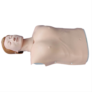 ADA <strong>Basic</strong> CPR Training Model (Half Body) and Half Body CPR Training Model (Male) with Half Body CPR Training Model (Female) - Product Image 6