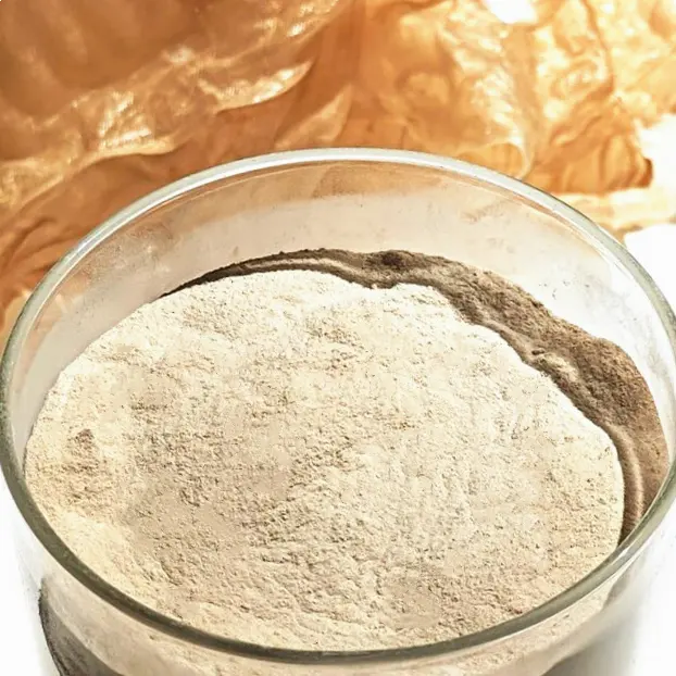 Vendita all'ingrosso miglior produttore Lambda per uso alimentare carragenina in polvere