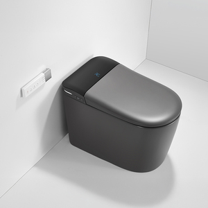 Smart Auto High End Toilets Modern Automatic Smart Toilet Auto Open/Close Lid, Floor Mounted Installation (CE Certified) - Product Image 5