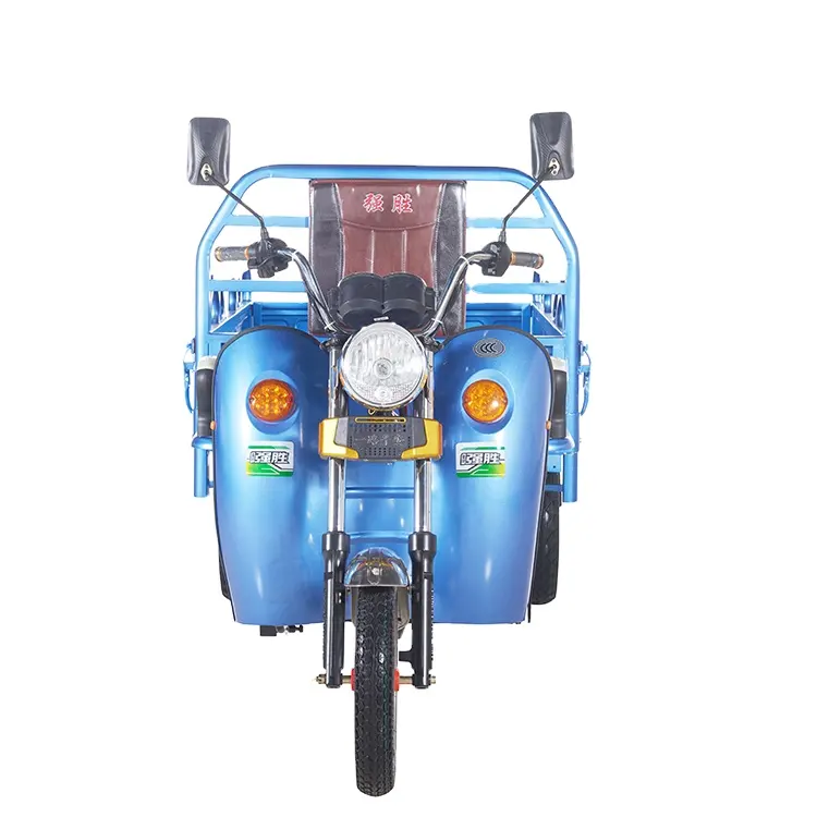 2023 الكهربائية دراجة ثلاثية العجلات و cng السيارات قطع غيار العربة هي شعبية دراجة ثلاثية للكبار في عربة كهربائية السوق