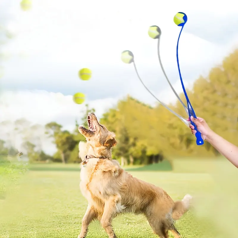 Amazon Hot-Sale Pet Training Levert Balwerpers Huisdier Gooien Keu Voor Honden Outdoor Huisdier Interactief En Bewegingsspeelgoed Hondenspeelgoed