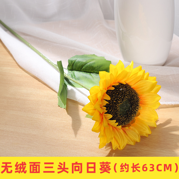 Tournesol à une tête non pelucheux