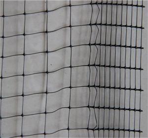 Tarım kesim-sipariş işleme mevcut etkili kuş yakalamak için Anti-Netting kuş ağları - Product Image 5