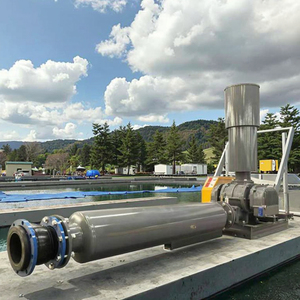 5hp Biogas Industriële Luchtcompressor Vacuümpomp Wortels Blower Voor Aquacultuur Vis Garnalen Vijver Kweek Beluchting - Product Image 4